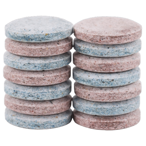 Bluey Vuitton Psily Tarts