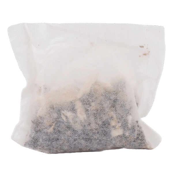 Organic Ginger Chai Psily Tea