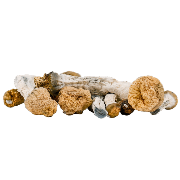 voyager 4 Voyager's Ascent - Cosmic Albino Mushrooms